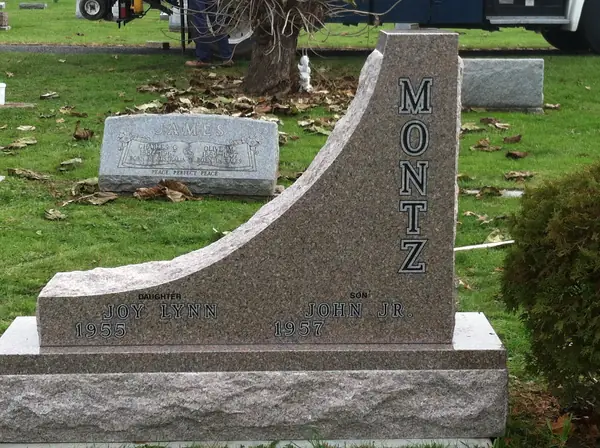 A rose granite monument cut as a rising curve, with the family name set vertically up the tall edge and two names cut along the low edge