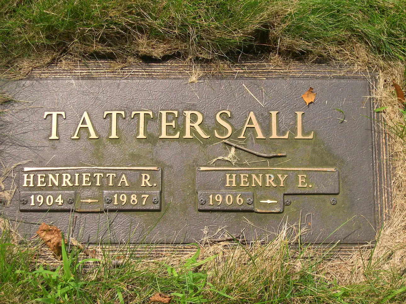 A bronze companion marker darkened by decades of patina, its raised lettering still bright, with grass grown over the edges.